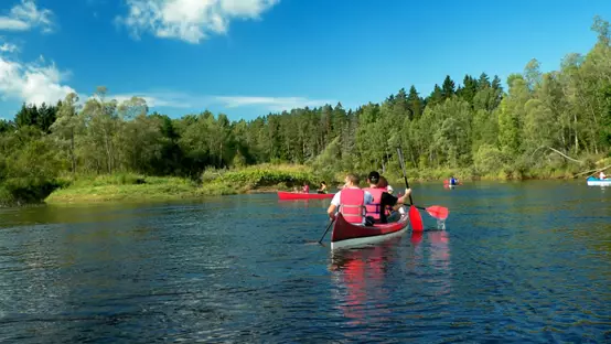 Group of canoes on river with green forest and blue sky in background