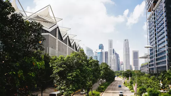 在远处背景中，沿着有树木和城市摩天大楼的街道