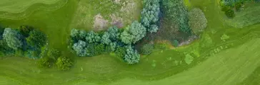 Aerial view of green golf course
