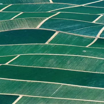 Farmland in northern California 