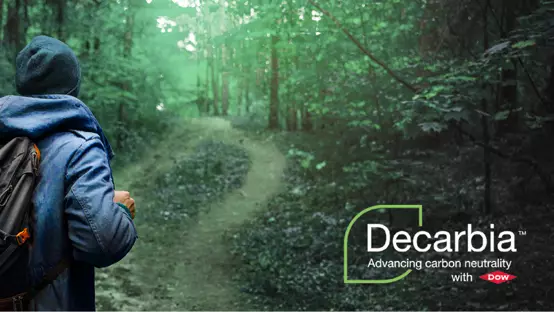 Explorer on a green forest road