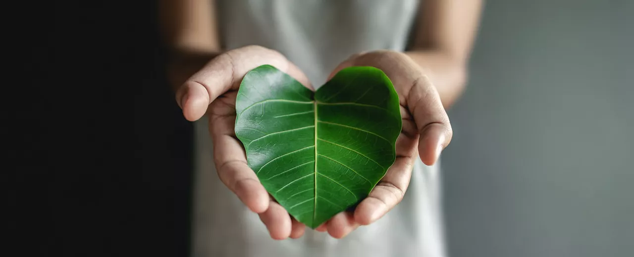 Green Energy, ESG, Renewable and Sustainable Resources. Environmental and Ecology Care Concept. Close up of Hand holding a Heart Shape Green Leaf