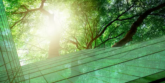 Sustainable green building