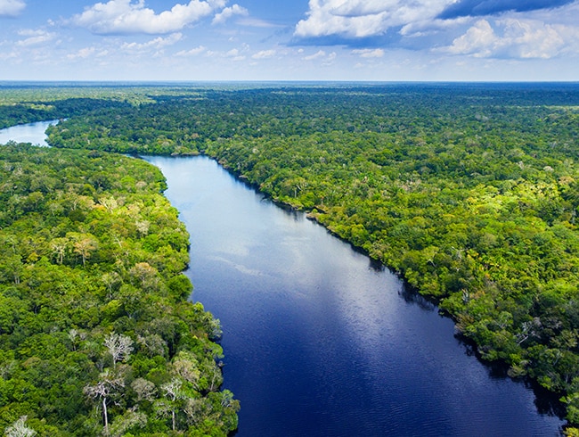 Large river running through forest photographed from the air