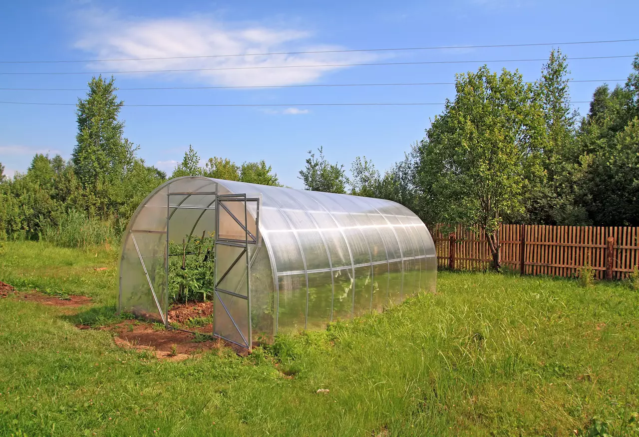 Plastic hothouse in rural vegetable garden.