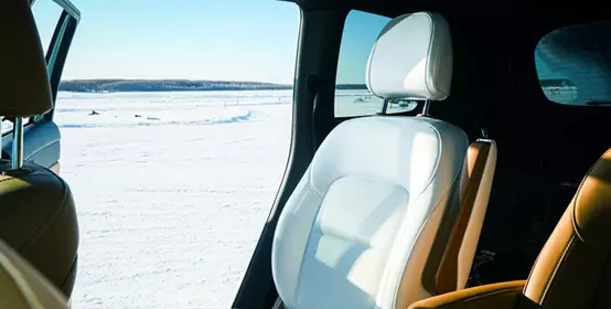 EVOAIR™ POE Leather for car seat