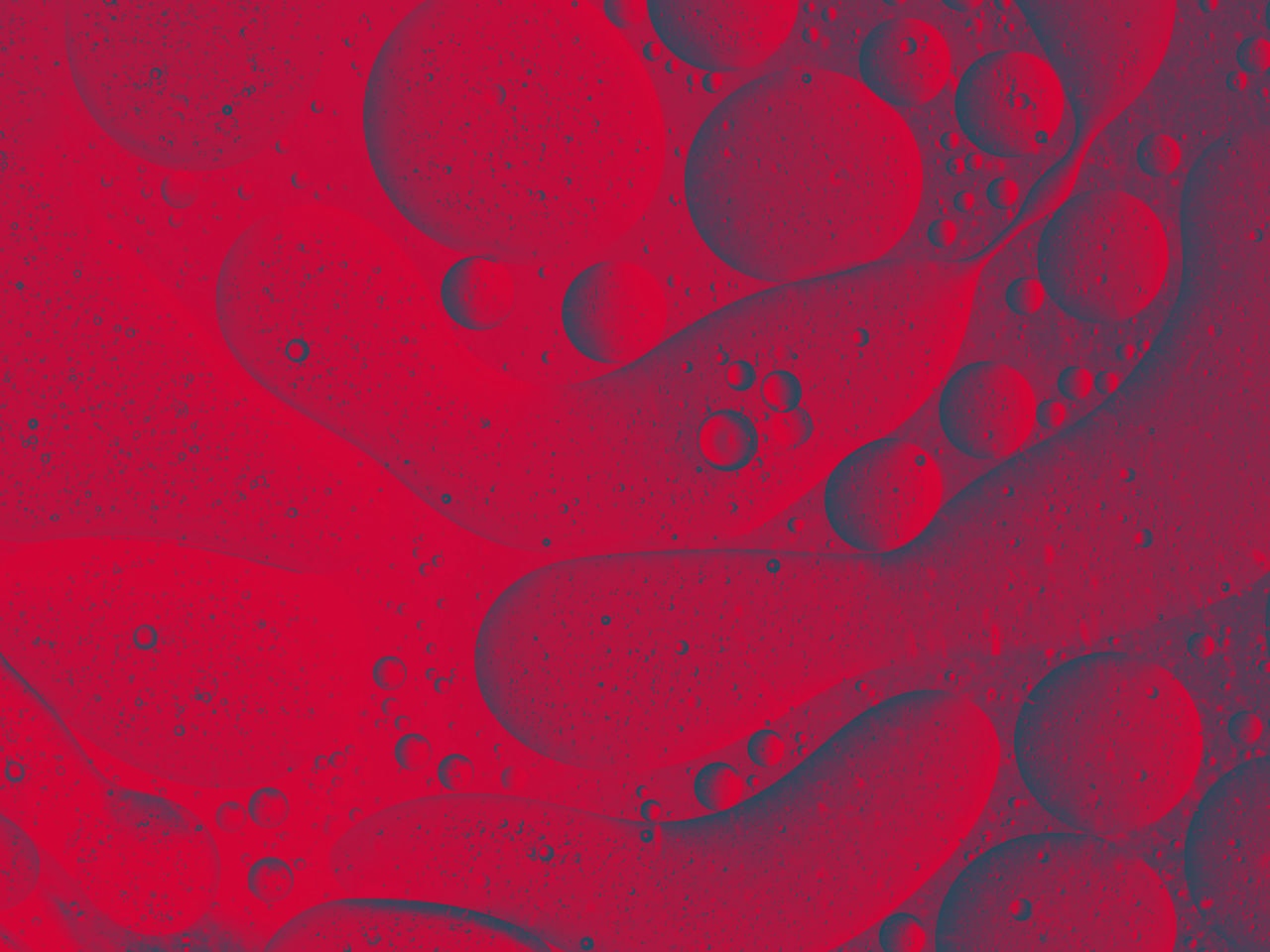 Full frame of the textures formed by the bubbles and drops of oil in the shape of circle floating on a gray and yellow colors background - red texture