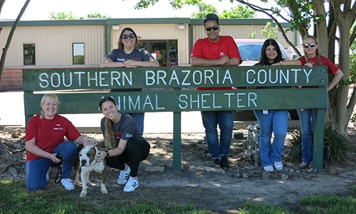 Dow volunteers at an animal shelter